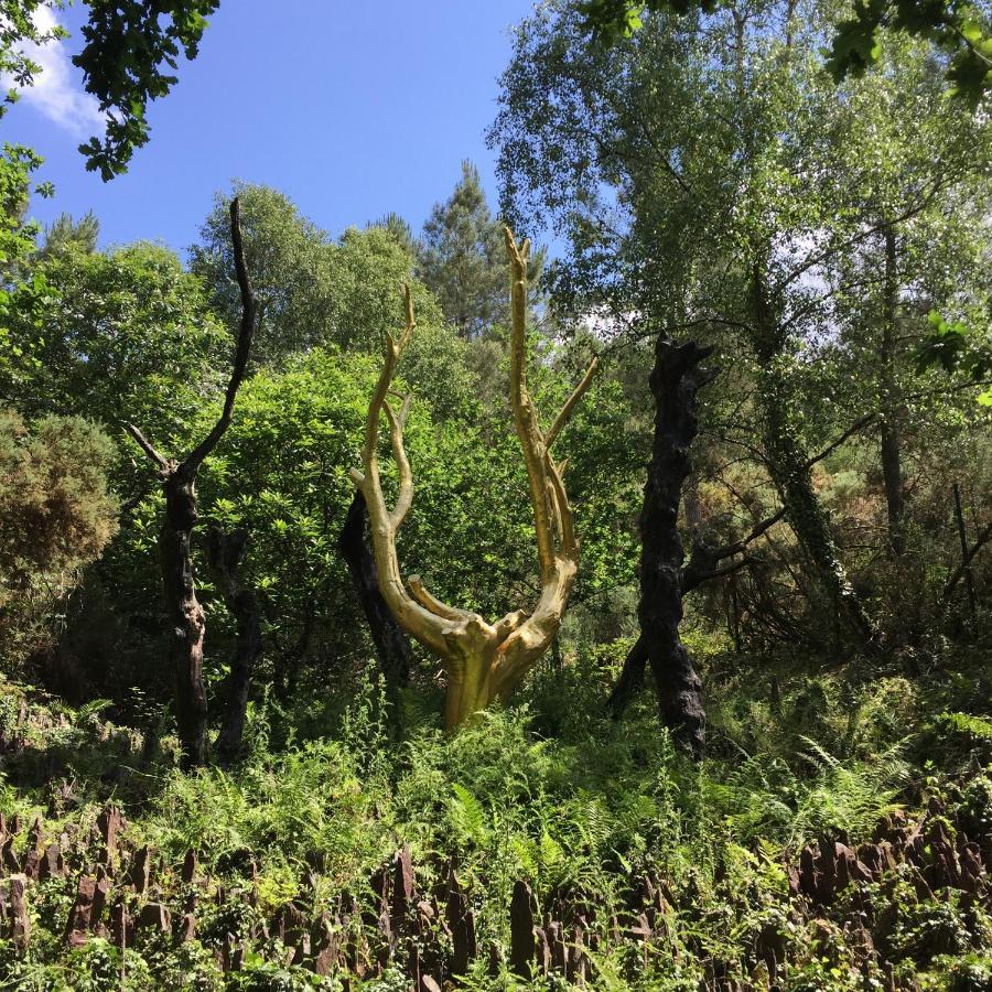 L'Hotie De Broceliande, Au Coeur Des Sites Naturels Et Legendaires Paimpont Exterior photo