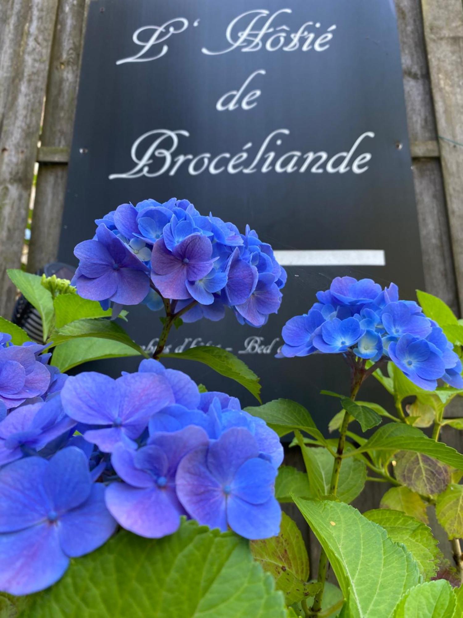 L'Hotie De Broceliande, Au Coeur Des Sites Naturels Et Legendaires Paimpont Exterior photo